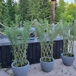 Kotimajoitukset Rosegarden - Art&nature - Talo Luonnossa *