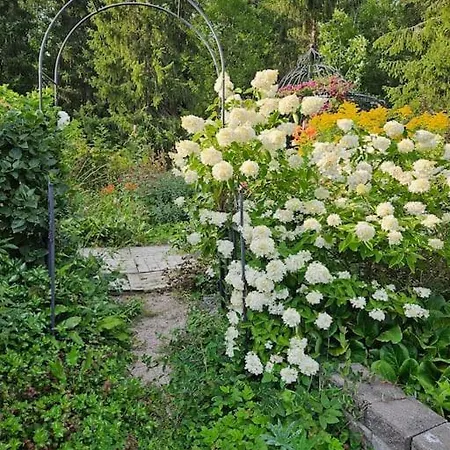 Rosegarden - Art&nature - Talo Luonnossa Kotimajoitukset Espoo