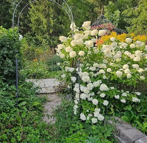 Rosegarden - Art&nature - Talo Luonnossa ホームステイ エスポー