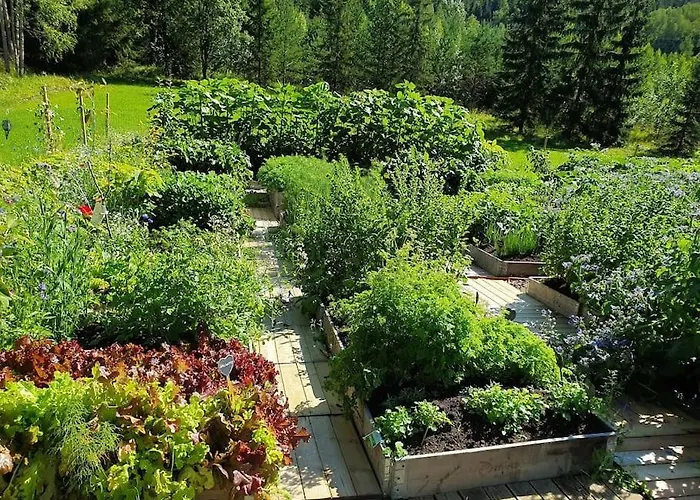 ホームステイ Rosegarden - Art&nature - Talo Luonnossa エスポー